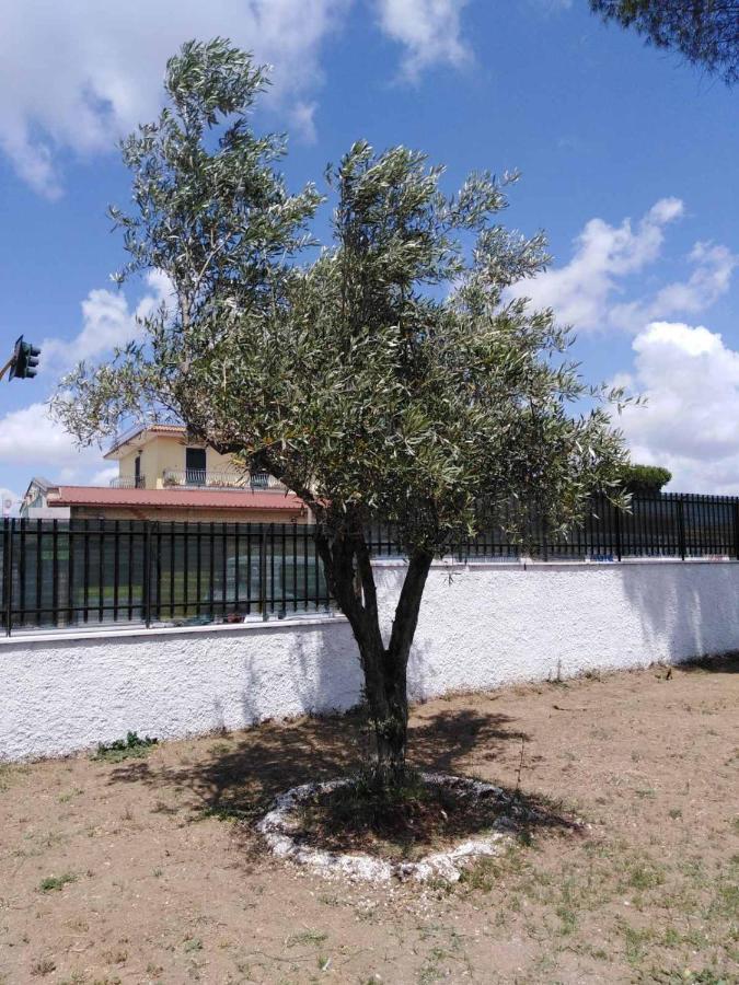 Villa Ivana Rome Luaran gambar